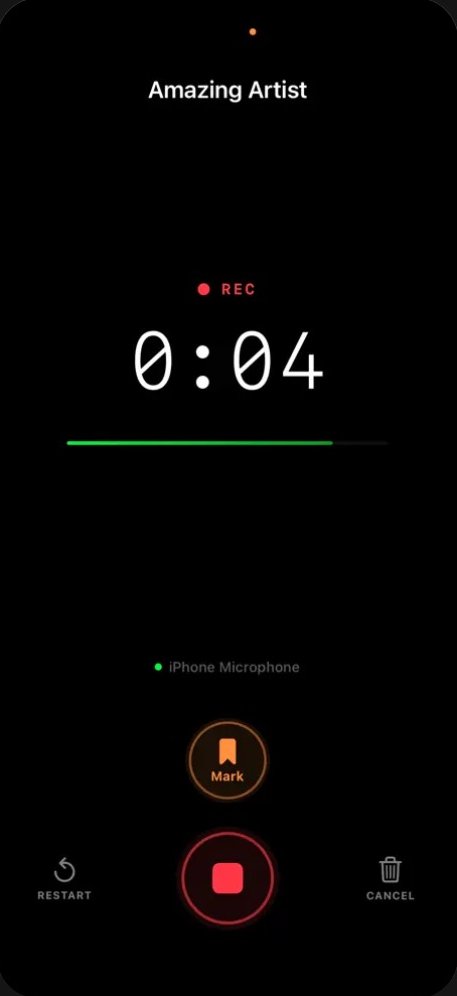 Recording screen with a running timer and Mark button